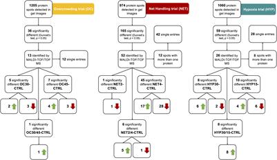 Metabolic Plasticity of Gilthead Seabream Under Different Stressors: Analysis of the Stress Responsive Hepatic Proteome and Gene Expression